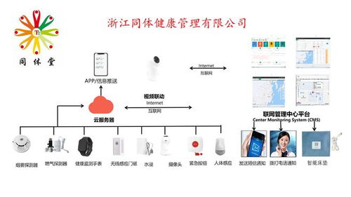 同体健康管理 全生命周期健康管理 智能化服务助力居家养老